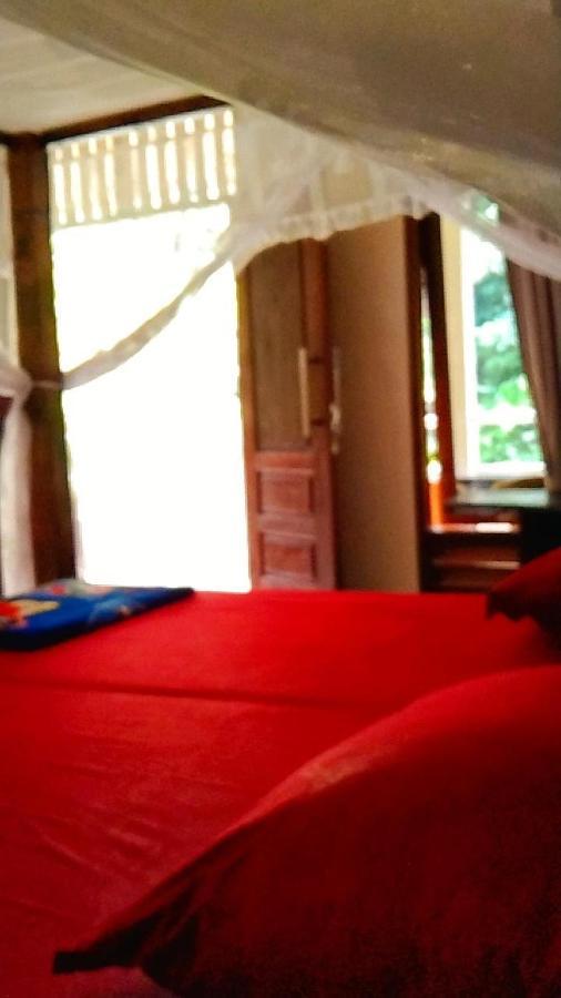 Raja Guest House - Jungle Trekking & Tours Bukit Lawang Sumatra Екстер'єр фото